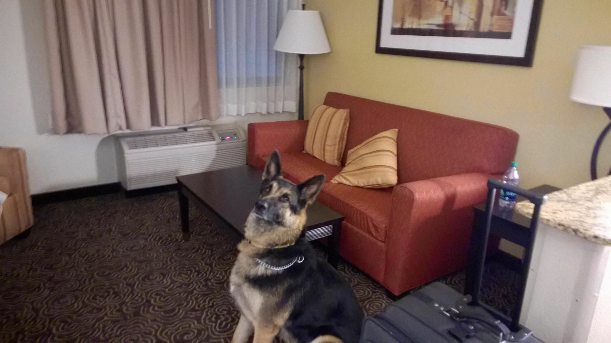 Best Western Plus Castle Rock Luaran gambar